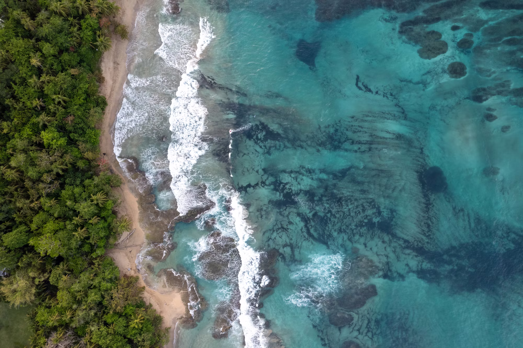 Záhadná krása tropických moří: Zkoumání nejteplejších vod světa
